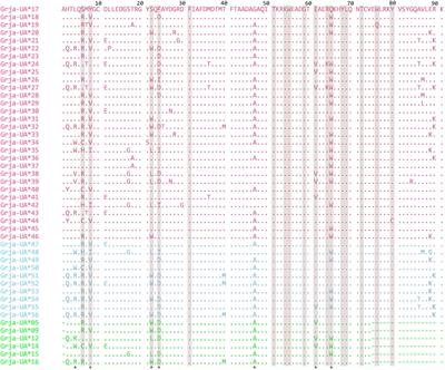 Genetic Diversity and Differentiation of MHC Class I Genes in Red-Crowned Crane Populations